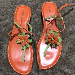 Athena Alexander Slides